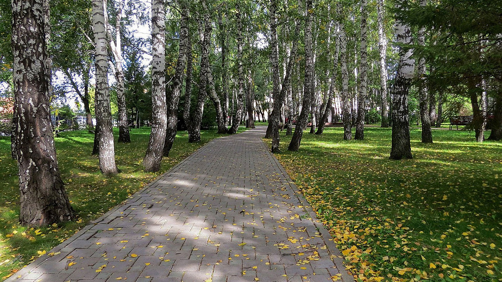 Парк "Березовая Роща". Изображение 2