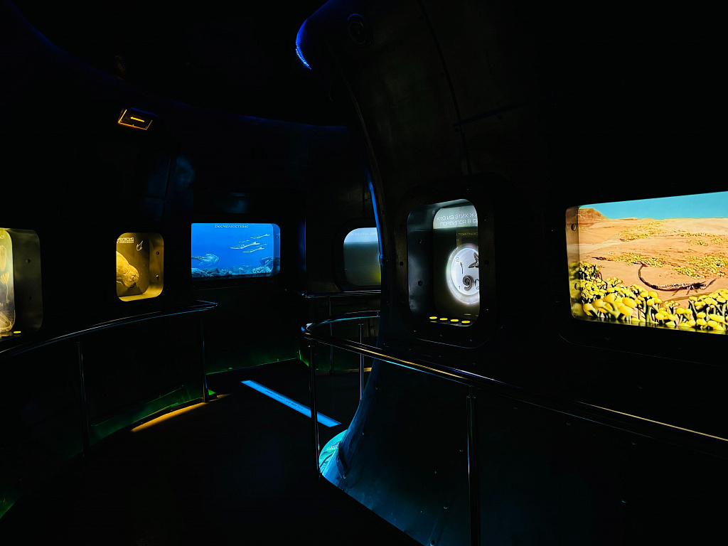 Пройди путем эволюции. Изображение 9