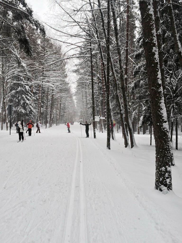 Лыжные трассы в Парке Сокольники. Изображение 1