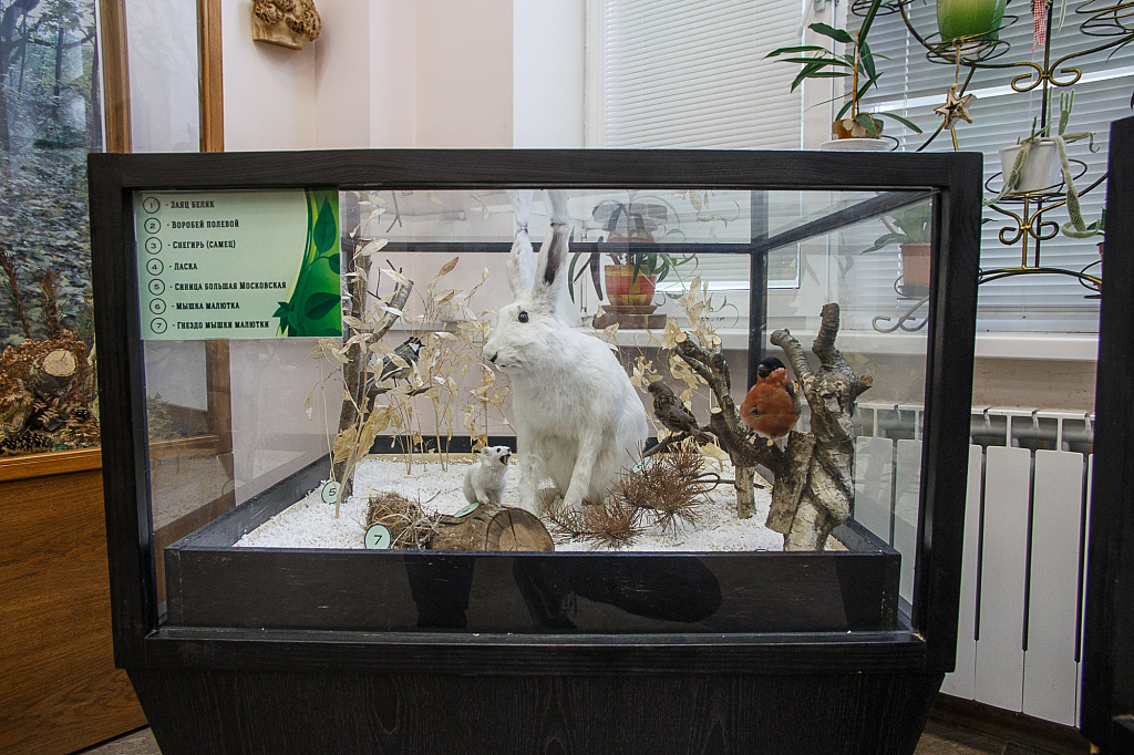 Экоцентр «Музей природы». Изображение 5