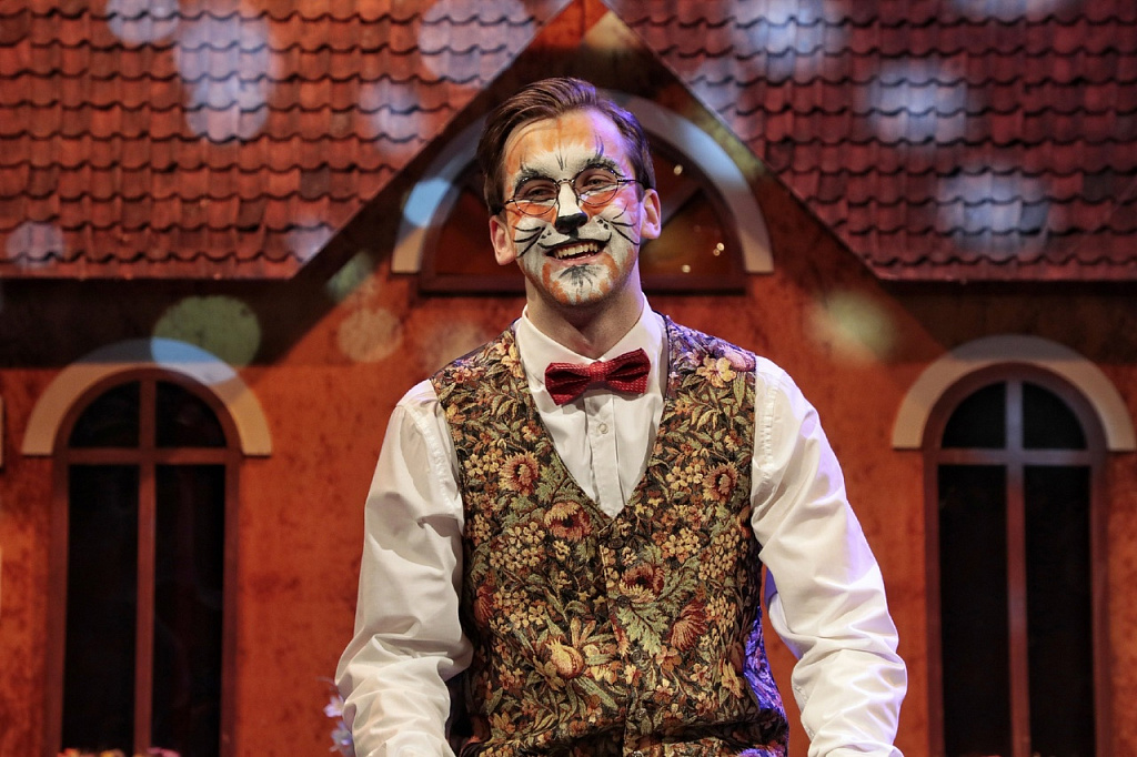 Московский театр Иллюзии (сцена на Перовской). Изображение 6