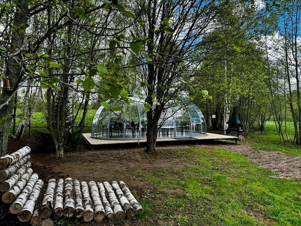 ЦЫПАрк. Изображение 6