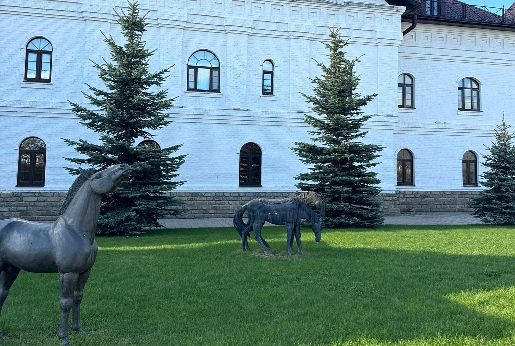 Национальный конный парк Русь. Изображение 3