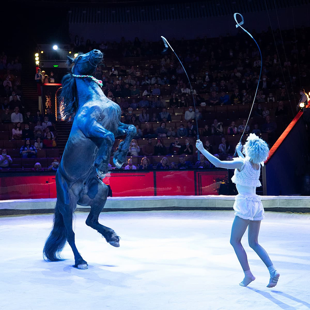 Сказка о Белоснежке и семи гномах. Изображение 3