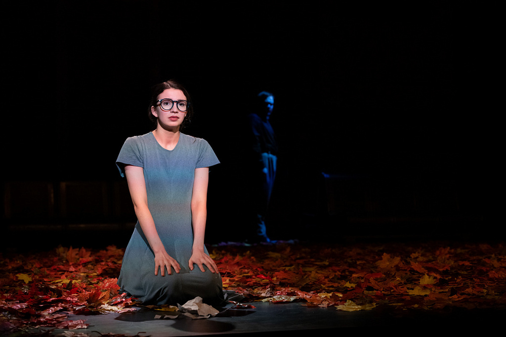 Дама с собачкой. Изображение 10