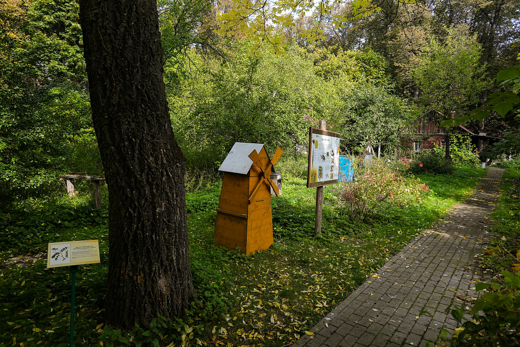 Занятия в экоцентре «Царская пасека». Изображение 2