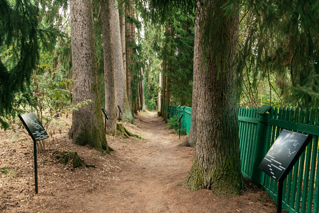 Дом-музей М.М. Пришвина в Дунино. Изображение 3