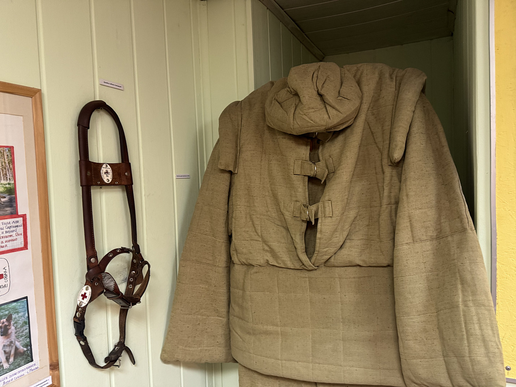 Музей собаки. Изображение 3