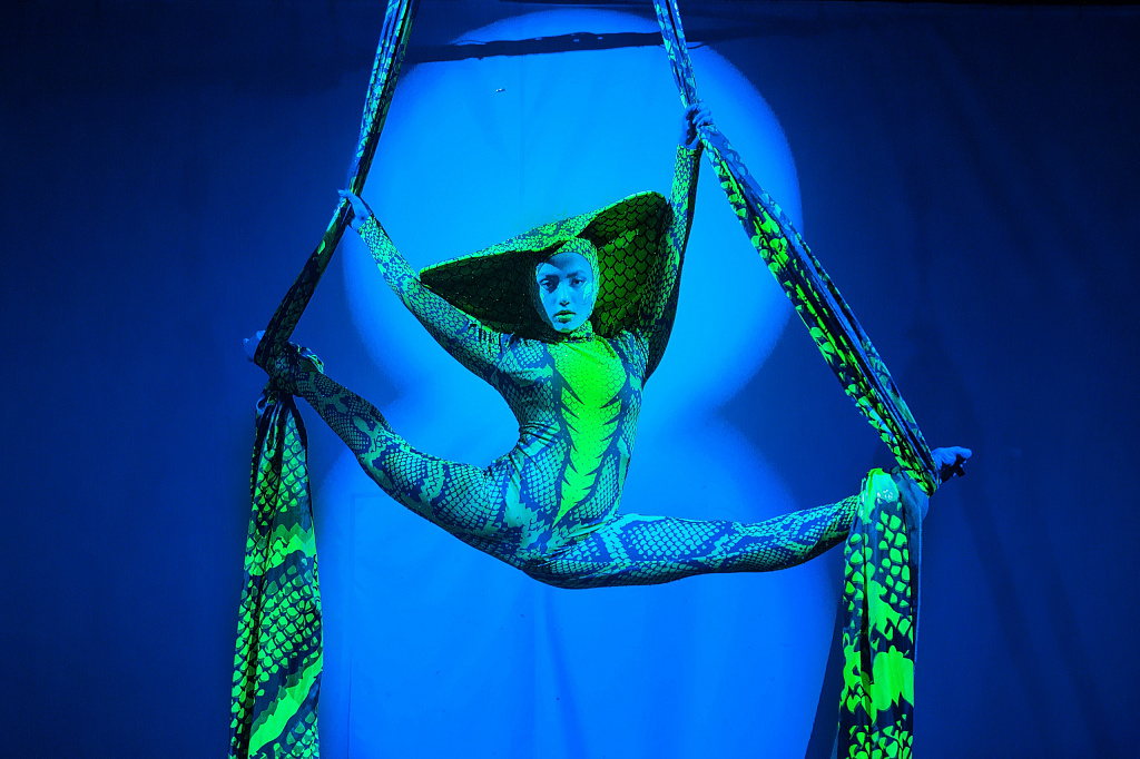 Новый год. Юрский период . Изображение 4