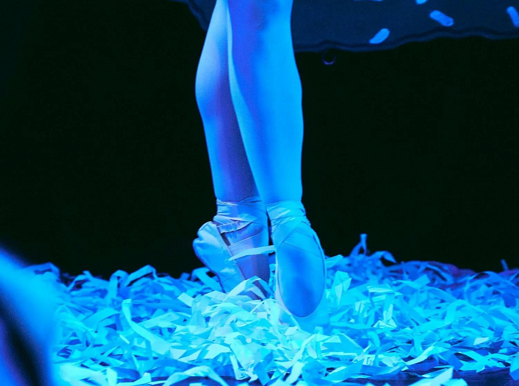 Лебединое озеро (КукLab м. Аэропорт). Изображение 4