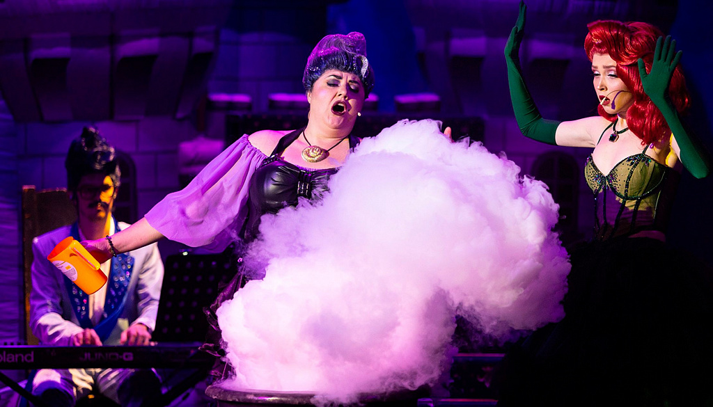 Новогоднее Созвездие. Изображение 6