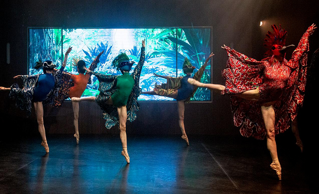 Карнавал. Изображение 2