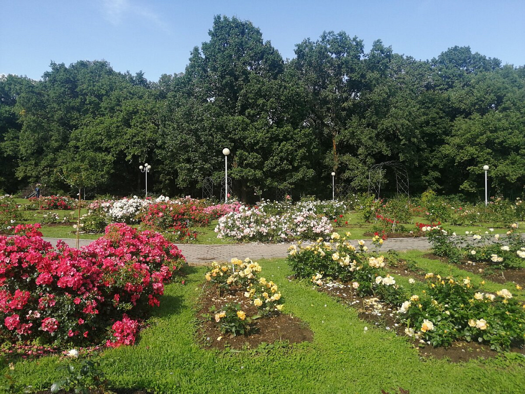 Главный ботанический сад имени Н. В. Цицина РАН. Изображение 3