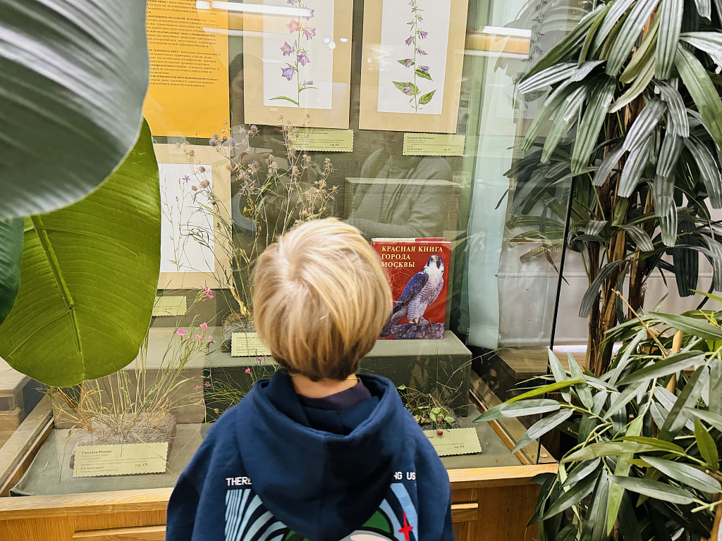 Биологический музей им. К.А. Тимирязева. Изображение 20