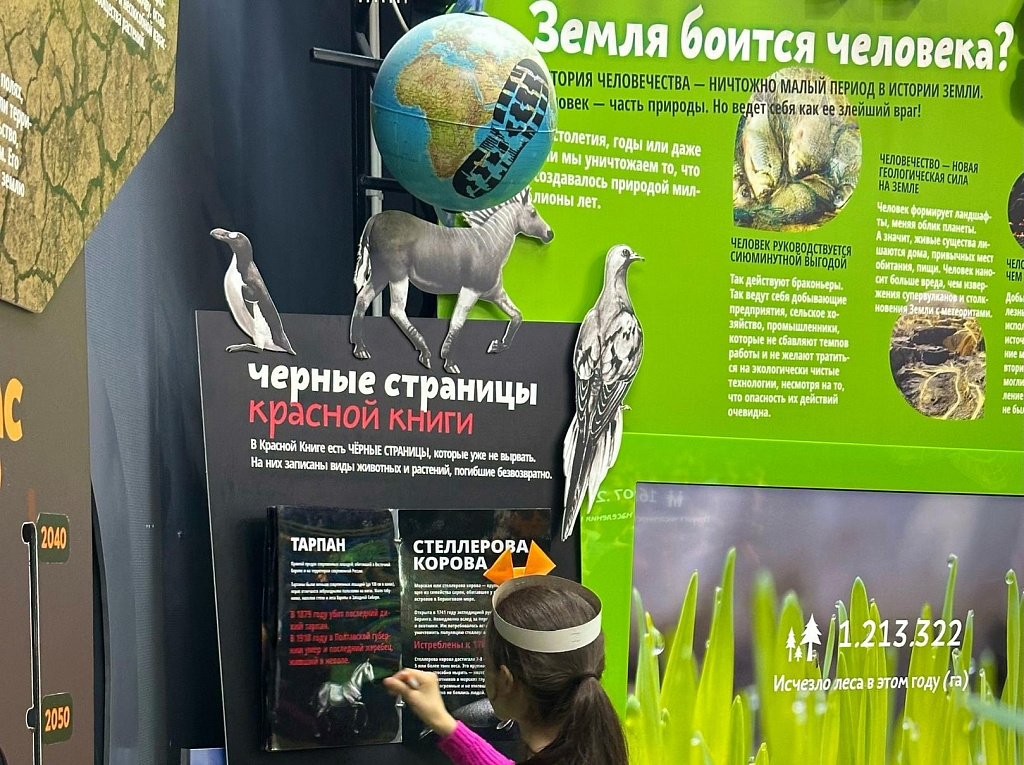 Экоцентр "Экошкола в Кусково". Изображение 5