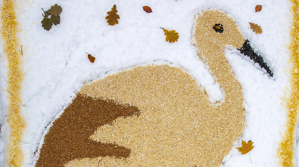 Городской творческий фестиваль «Снежный холст». Изображение 1