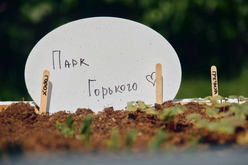 Зеленая школа в Парке Горького. Изображение 3