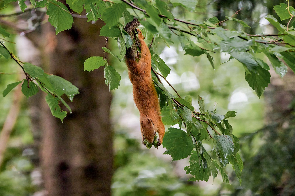 Экоцентр «Дом Лани». Изображение 15