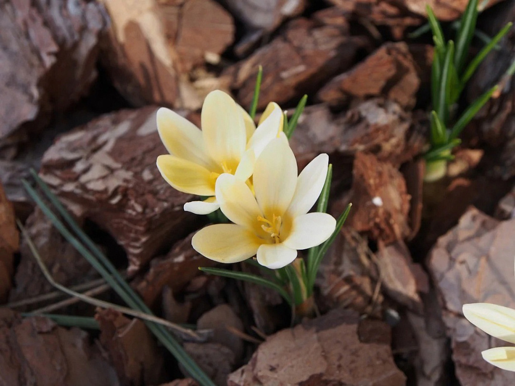 Пытливые 0+. Изображение 3