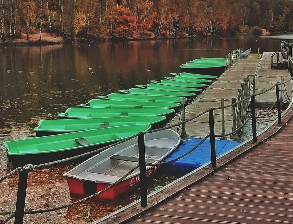 Тропаревский лесопарк. Изображение 6