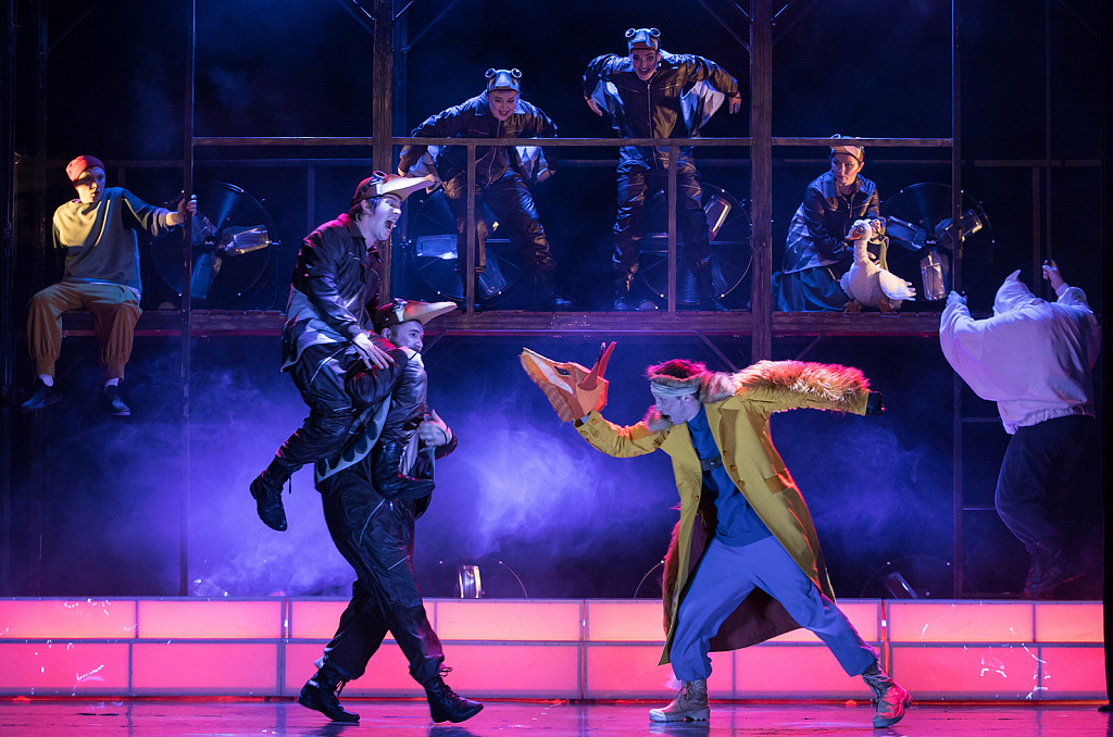 Путешествие Нильса с дикими гусями (МТК). Изображение 3