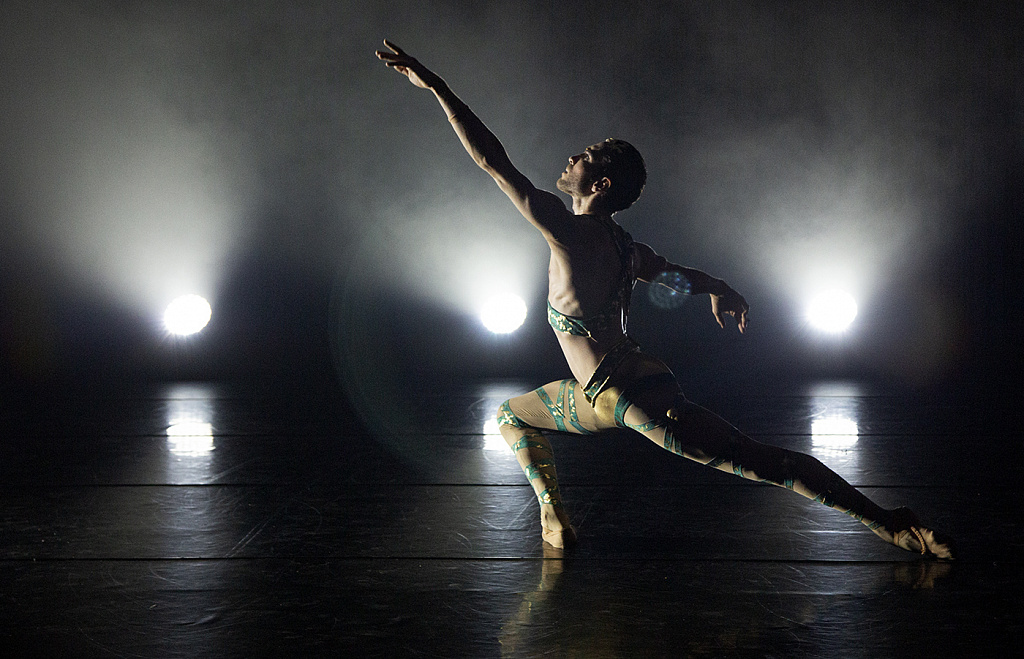 RICHARDCAPRICCIO декаDance-балет на музыку Рихарда Штрауса. Изображение 9