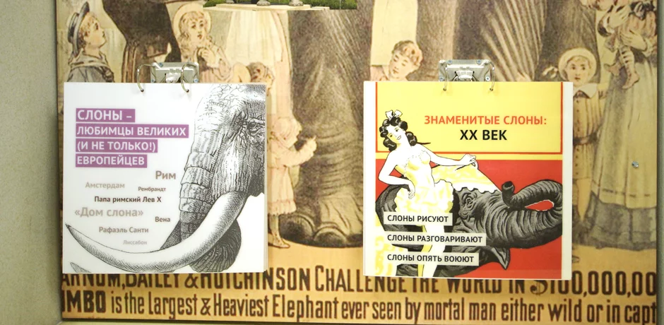 Музей слонов в Московском Зоопарке. Изображение 3